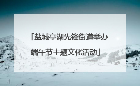 盐城亭湖先锋街道举办端午节主题文化活动