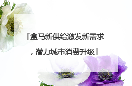 盒马新供给激发新需求，潜力城市消费升级