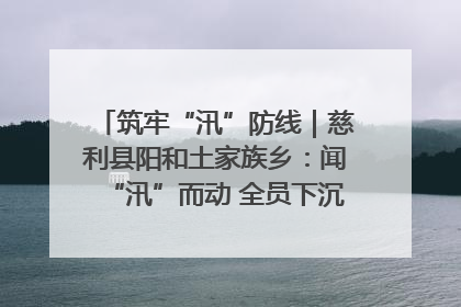 筑牢“汛”防线｜慈利县阳和土家族乡：闻“汛”而动 全员下沉筑牢防汛“安全堤”