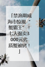 禁渔期威海市惊现“蟹霸王”！七人强卖3000元劣质蟹被铐！
