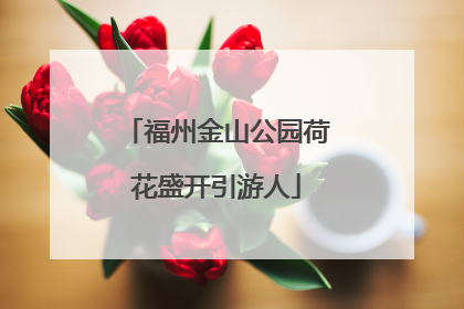 福州金山公园荷花盛开引游人