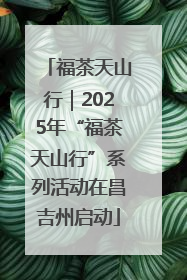 福茶天山行｜2025年“福茶天山行”系列活动在昌吉州启动