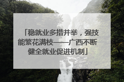 稳就业多措并举，强技能繁花满枝——广西不断健全就业促进机制