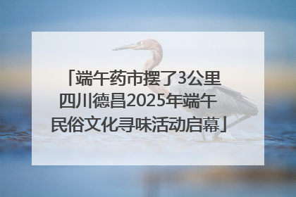 端午药市摆了3公里 四川德昌2025年端午民俗文化寻味活动启幕