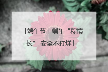 端午节｜端午“粽情长” 安全不打烊