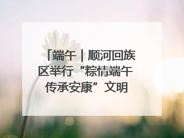 端午｜顺河回族区举行“粽情端午 传承安康”文明集市活动