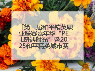 第一届和平精英职业联赛嘉年华“PEL奇遇时光”暨2025和平精英城市赛总决赛盛大启幕