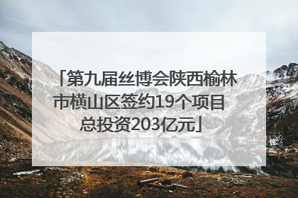 第九届丝博会陕西榆林市横山区签约19个项目 总投资203亿元