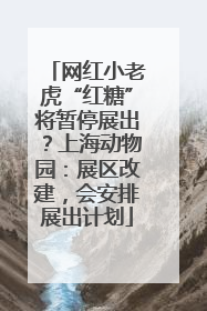 网红小老虎“红糖”将暂停展出？上海动物园：展区改建，会安排展出计划