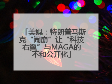 美媒：特朗普马斯克“闹崩”让“科技右翼”与MAGA的不和公开化