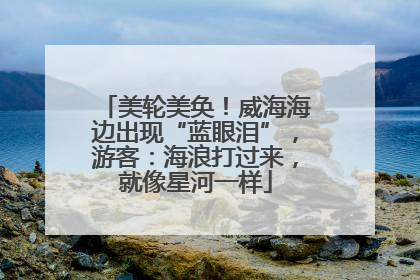 美轮美奂！威海海边出现“蓝眼泪”，游客：海浪打过来，就像星河一样