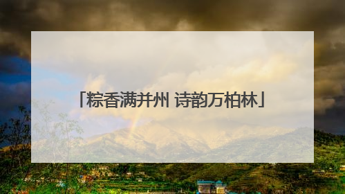 粽香满并州 诗韵万柏林