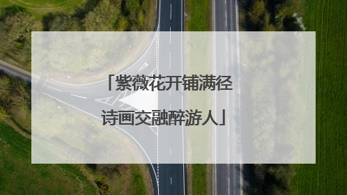 紫薇花开铺满径 诗画交融醉游人