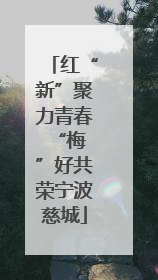 红“新”聚力青春 “梅”好共荣宁波慈城