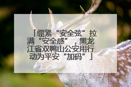 绷紧“安全弦”拉满“安全感”，黑龙江省双鸭山公安用行动为平安“加码”