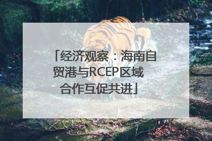 经济观察：海南自贸港与RCEP区域合作互促共进