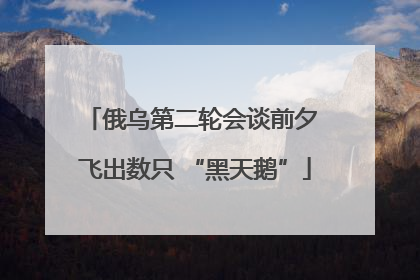 俄乌第二轮会谈前夕 飞出数只 “黑天鹅”