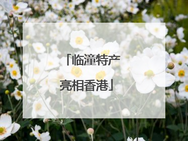 临潼特产亮相香港