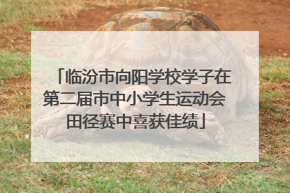 临汾市向阳学校学子在第二届市中小学生运动会田径赛中喜获佳绩