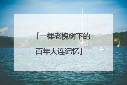 一棵老槐树下的百年大连记忆