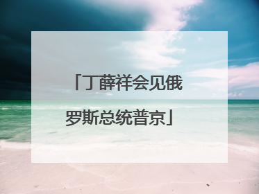 丁薛祥会见俄罗斯总统普京