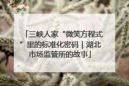 三峡人家“微笑方程式”里的标准化密码｜湖北市场监管所的故事
