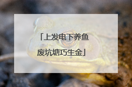 上发电下养鱼 废坑塘巧生金