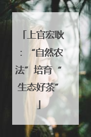 上官宏耿：“自然农法”培育“生态好茶”