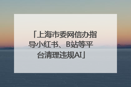 上海市委网信办指导小红书、B站等平台清理违规AI