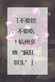 不要挖、不要吃！杭州多地“疯狂冒头”