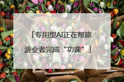 专用型AI正在帮旅游业者完成“功课”