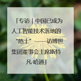 专访｜中国已成为人工智能技术落地的“热土”——访博世集团董事会主席斯特凡·哈通