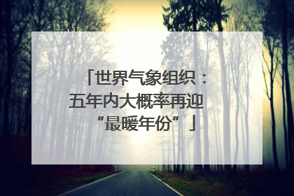 世界气象组织：五年内大概率再迎“最暖年份”