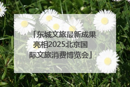 东城文旅最新成果亮相2025北京国际文旅消费博览会
