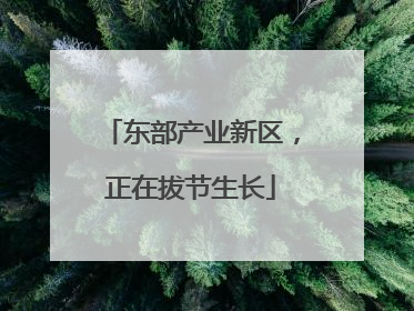 东部产业新区，正在拔节生长