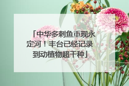 中华多刺鱼重现永定河！丰台已经记录到动植物超千种