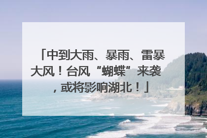 中到大雨、暴雨、雷暴大风！台风“蝴蝶”来袭，或将影响湖北！