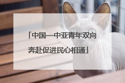 中国—中亚青年双向奔赴促进民心相通