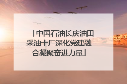 中国石油长庆油田采油十厂深化党建融合凝聚奋进力量
