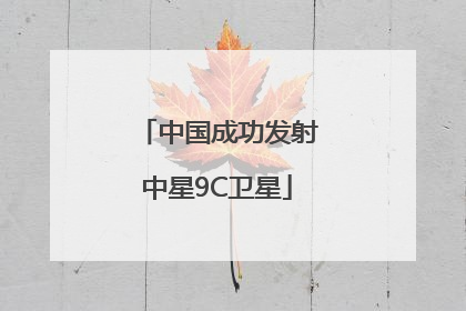 中国成功发射中星9C卫星
