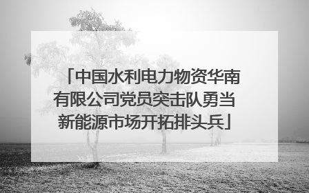 中国水利电力物资华南有限公司党员突击队勇当新能源市场开拓排头兵