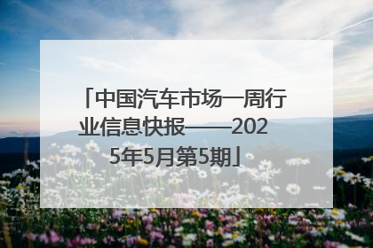 中国汽车市场一周行业信息快报——2025年5月第5期