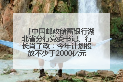 中国邮政储蓄银行湖北省分行党委书记、行长肖子政：今年计划投放不少于2000亿元支持支点建设