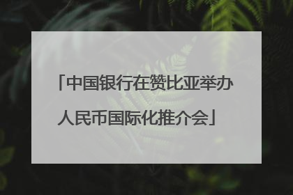 中国银行在赞比亚举办人民币国际化推介会