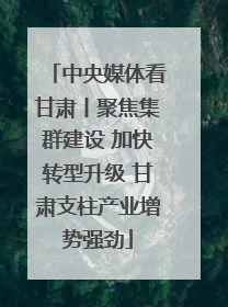 中央媒体看甘肃丨聚焦集群建设 加快转型升级 甘肃支柱产业增势强劲