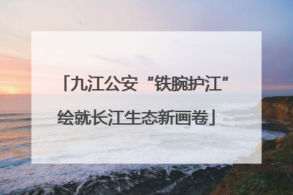 九江公安“铁腕护江”绘就长江生态新画卷