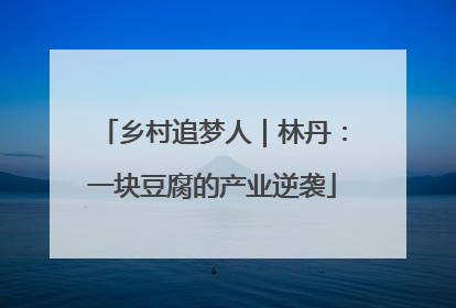 乡村追梦人｜林丹：一块豆腐的产业逆袭