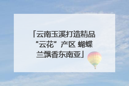 云南玉溪打造精品“云花”产区 蝴蝶兰飘香东南亚