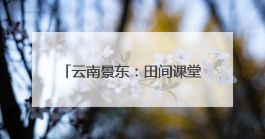 云南景东：田间课堂绘就劳动育人新画卷