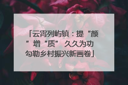 云霄列屿镇：提“颜”增“质” 久久为功勾勒乡村振兴新画卷
